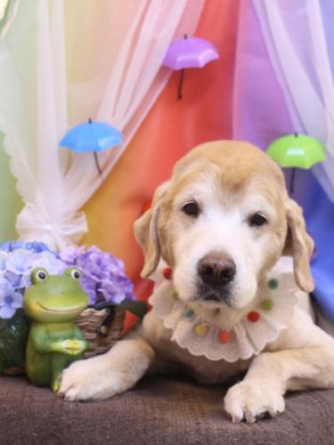 20230610ライムくん